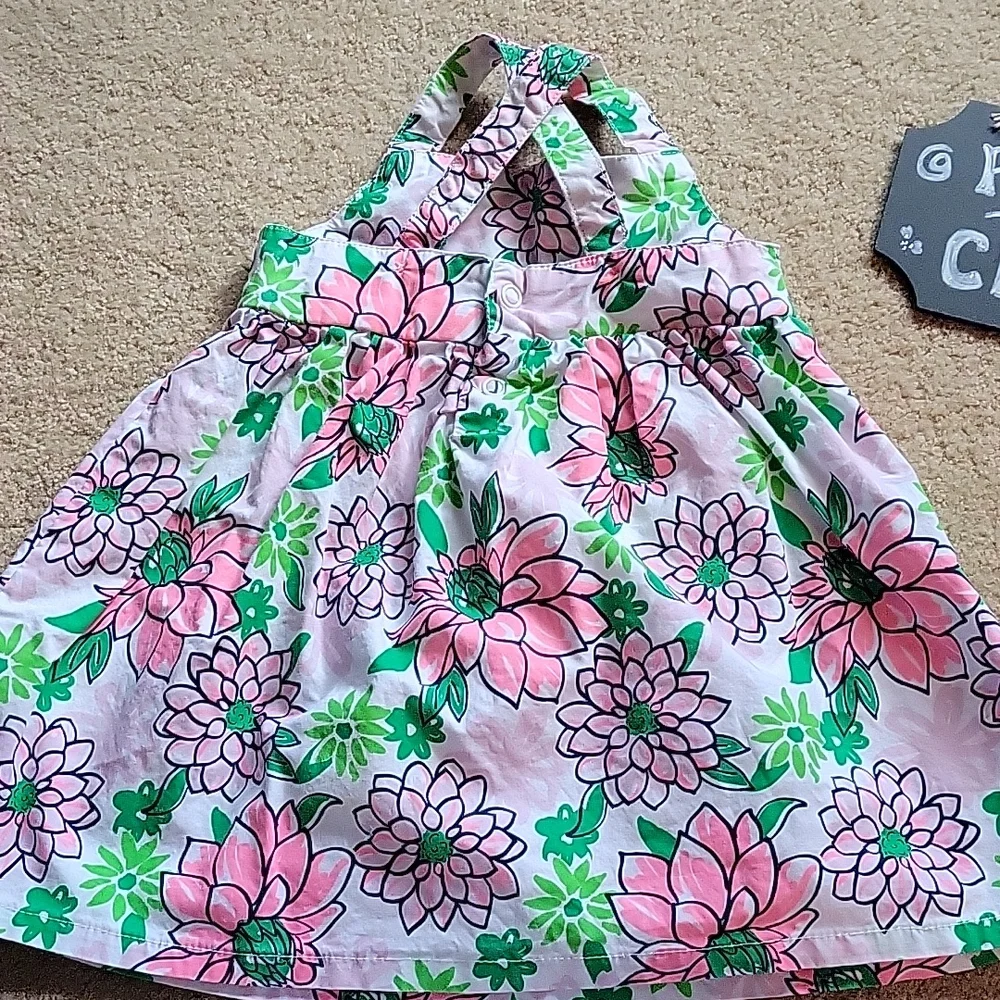 Just One You Carters Sundress 9 months Pink Green White